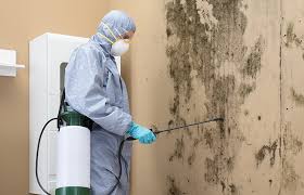 Best Forensic Mold Investigation  in Tomahawk, WI